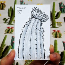 A drawing of a rare flowering cactus plant that looks like a penis