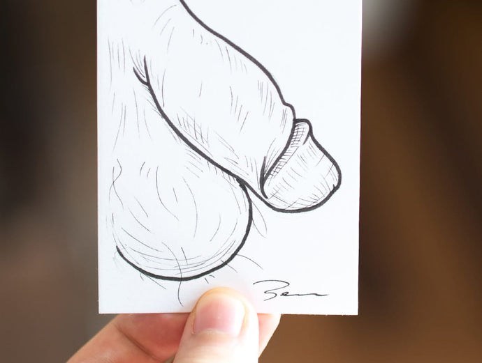 The Classic - Black and white pen sketch of penis